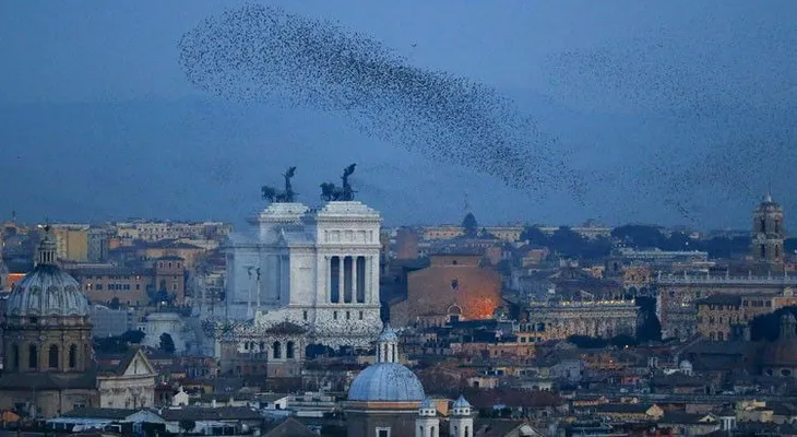 Caos en Roma por incursión de estorninos (VIDEO)