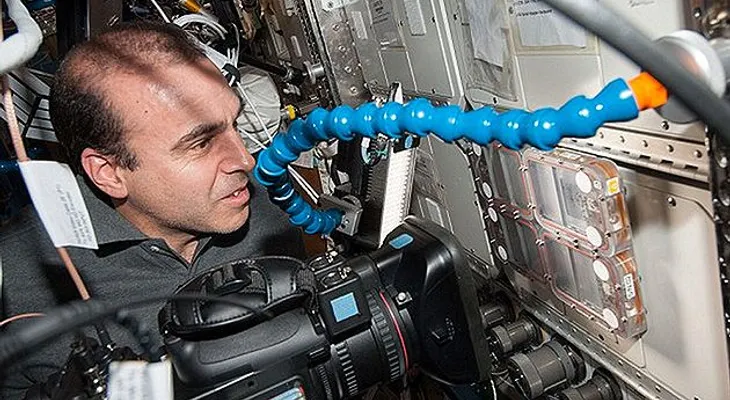 Envían 800 hormigas al espacio para aprender a fabricar robots