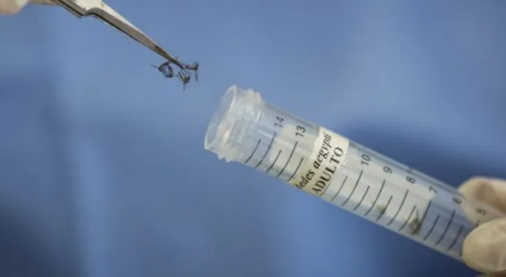 Desarrollar una vacuna contra el zika podría tomar varios años