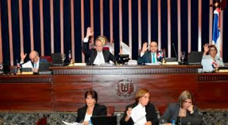 Senado aprueba ley declara 23 de enero Día Nacional de la Salud Materna