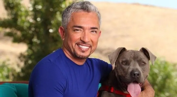 Demandan Encantador de perros por ataque de pit bull 
