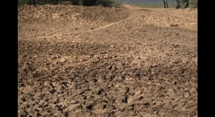 Abuelo y nieto fallecen en excursión en desierto de Arizona 