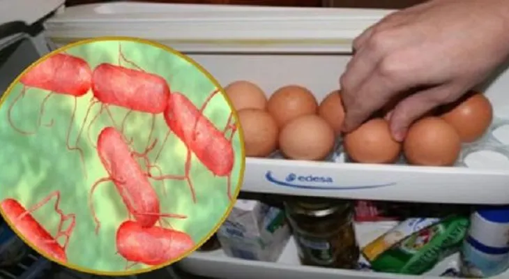 Tu salud y las de tu hijos corren peligro si guardas huevos en la nevera