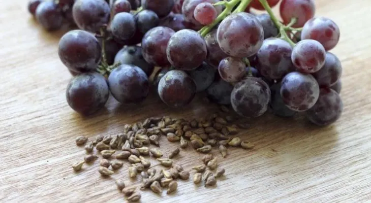 5 beneficios que no sabías de las semillas de uva 