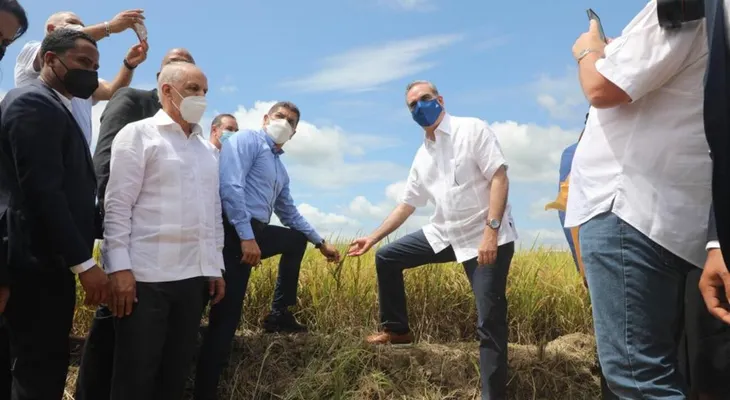 Presidente Abinader resalta producción de arroz y garantiza estabilidad precio del cereal