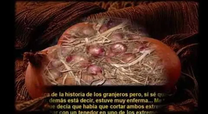 El gran secreto de la cebolla (VIDEO)