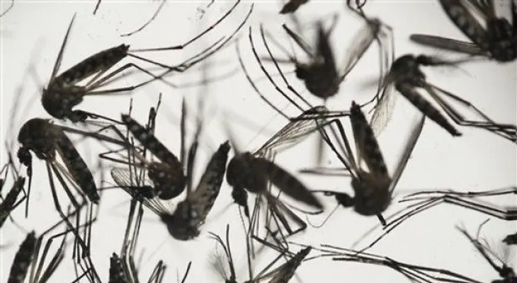 Nueva York dona un millón de preservativos a Puerto Rico por zika