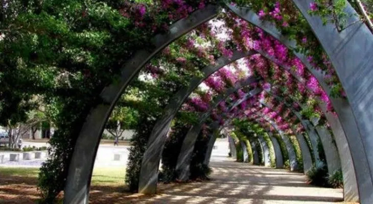 Conoce las puertas del nirvana atravesando estos caminos de flores