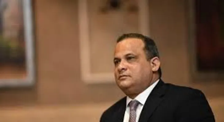 P.L.D., Ley de Partidos y Constitución.