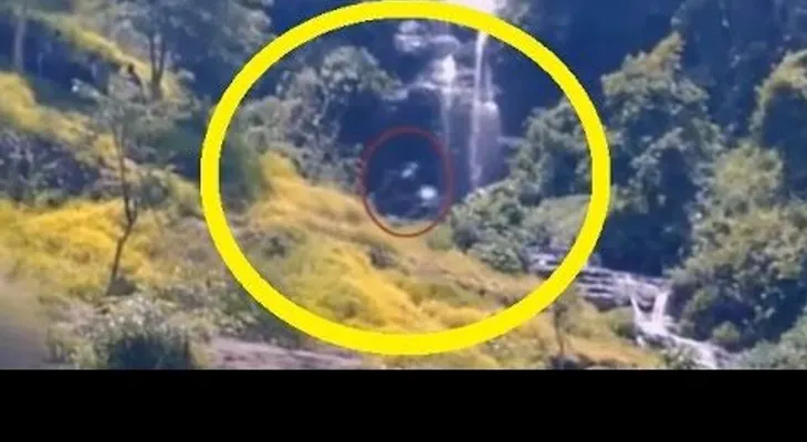 Graban a una espeluznante criatura en Indonesia (VIDEO)