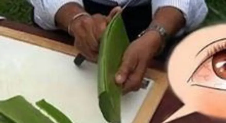 Un doctor ruso muestra la cura para los problemas de visión