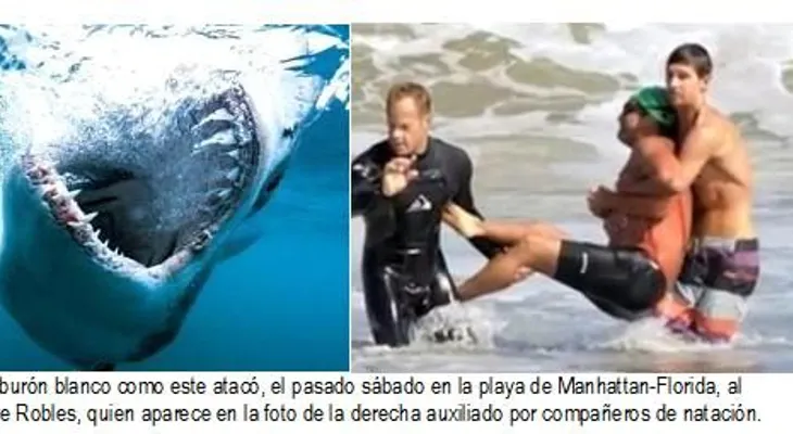 Preocupación y temor entre dominicanos NY por presencia tiburones en playas