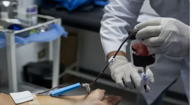 España supera los 520,000 donantes de médula ósea