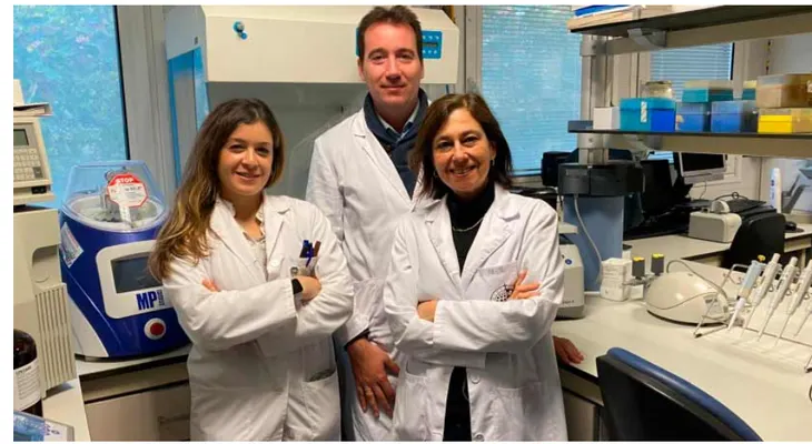 Estudio resalta beneficios del aceite de oliva para la microbiota