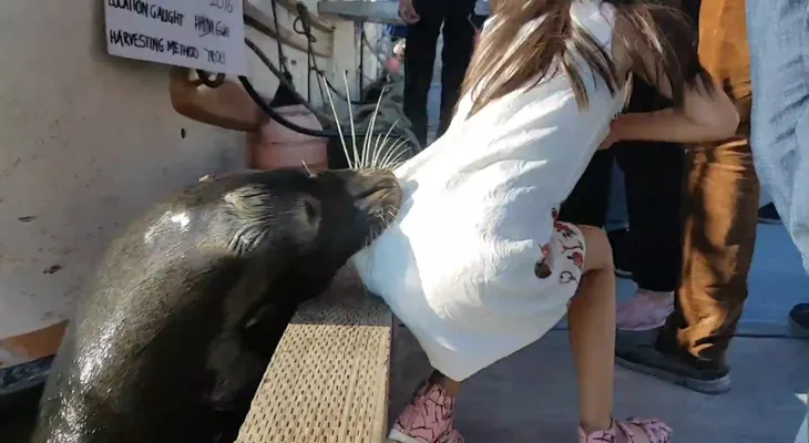 La mortal enfermedad que había contraído la niña atacada por león marino