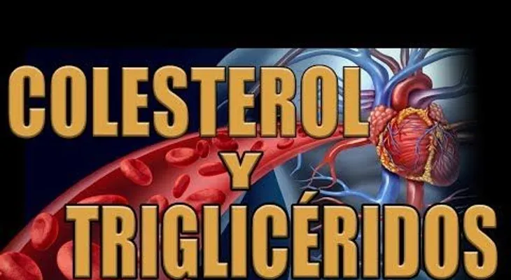 El ajo crudo disminuye la presión arterial: ¿Cómo disminuir el Colesterol y Triglicéridos?