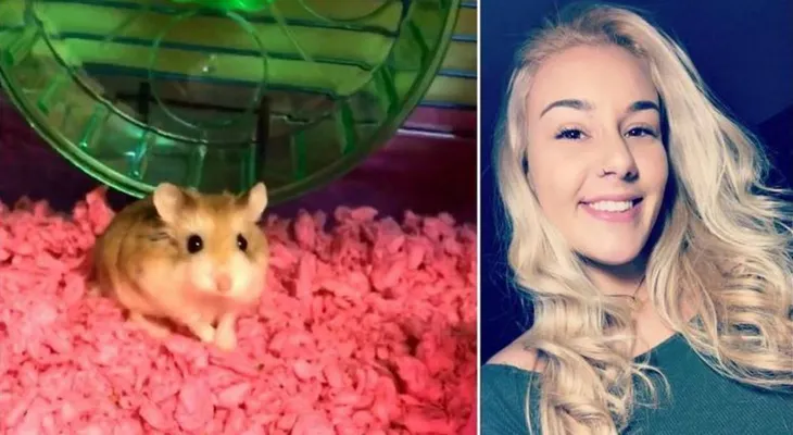 Una joven denuncia fue obligada por una aerolínea a tirar a su hamster por el inodoro; lo usaba para terapia