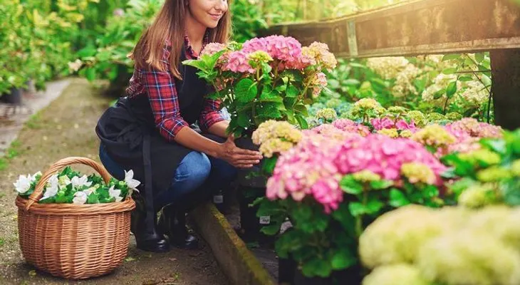 Porqué hacer jardinería es excelente para la salud