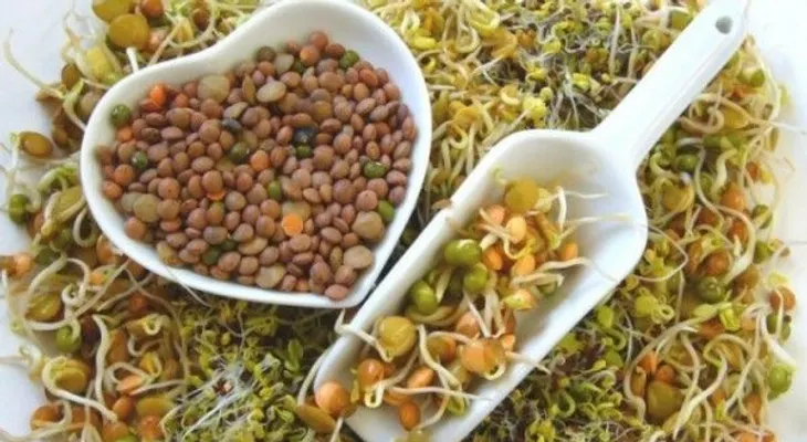 Lo que necesitas saber sobre la dieta macrobiótica (+Recetas)