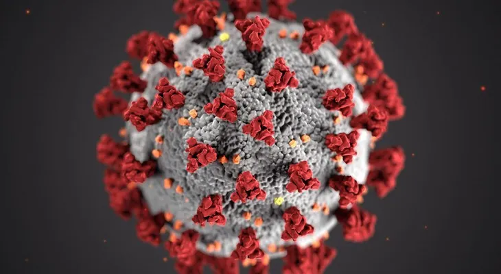 Contagios al alza y recesión, el cóctel letal de la América del coronavirus