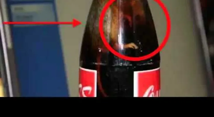 Mira lo que encontraron en esta Coca Cola!! (VIDEO CENSURADO)