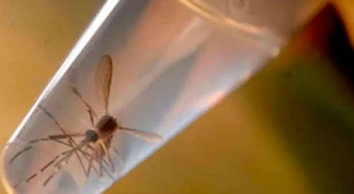 Boletín epidemiológico reporta 4 mil 416 casos sospechosos de Zika
