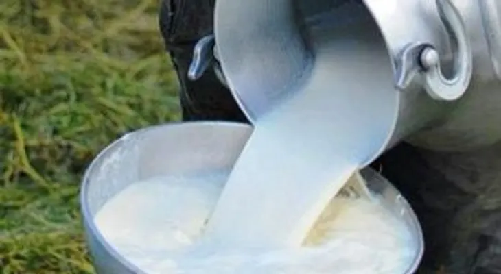 El consumo de leche cruda podría provocar hasta la muerte