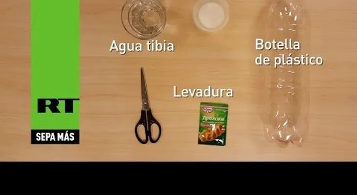 Cómo preparar la más sencilla y eficaz trampa antimosquitos