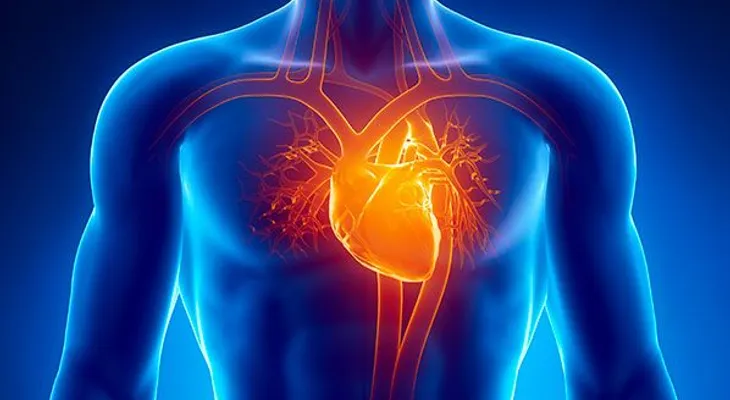 Sabias qué ser de baja estatura aumenta el riesgo de infarto