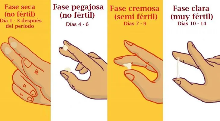 Tipos de moco cervical y qué significan cada uno