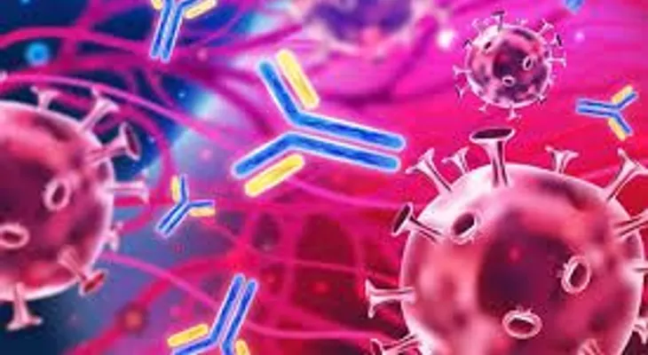 Cóctel de anticuerpos nomoclonales es eficaz con las variantes de coronavirus