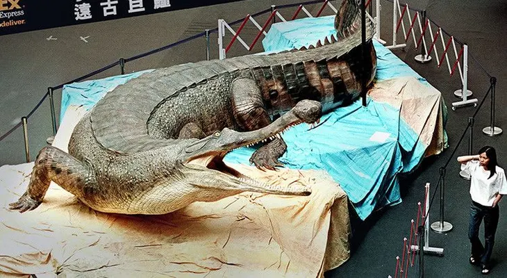 Hallan en Túnez fósiles del Machimosaurus rex, el mayor cocodrilo marino jamás hallado