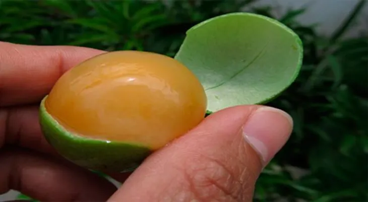 Conoce la fruta que cura el insomnio, previene enfermedades cardíacas, y restaura el sistema nervioso en minutos