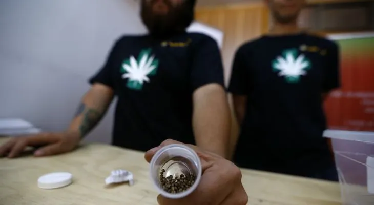 Chile inicia cultivo de marihuana con fines medicinales