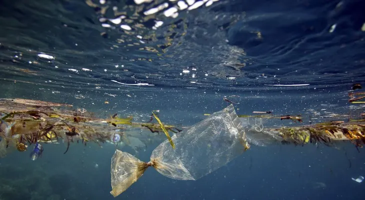  Científicos alertan de rápida degradación de los mares en los últimos 20 años 