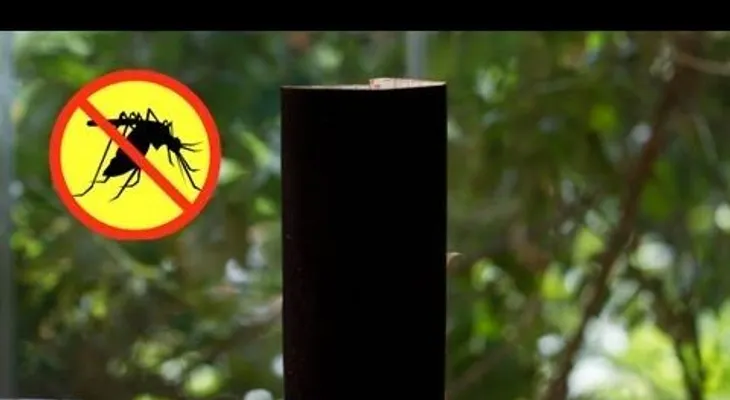 Esta es la mejor trampa casera para acabar los mosquitos con 3 ingredientes: aprende a prepararla 