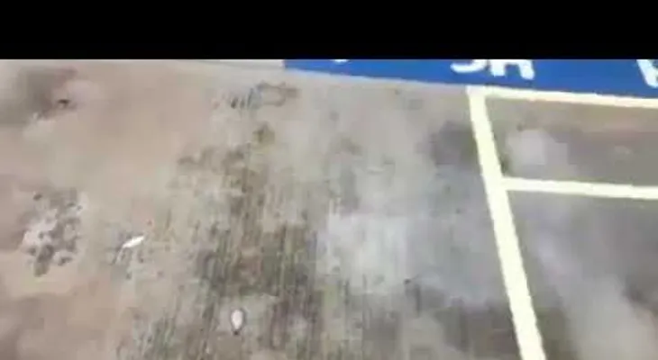 Una lluvia de peces sorprende a una localidad en el norte de México