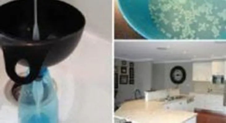 Conoce el secreto: Su casa siempre huele fresca y maravillosa