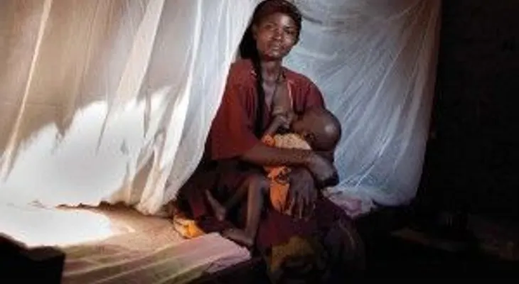 El combate contra la Malaria necesita nueva estrategia, dice la OMS