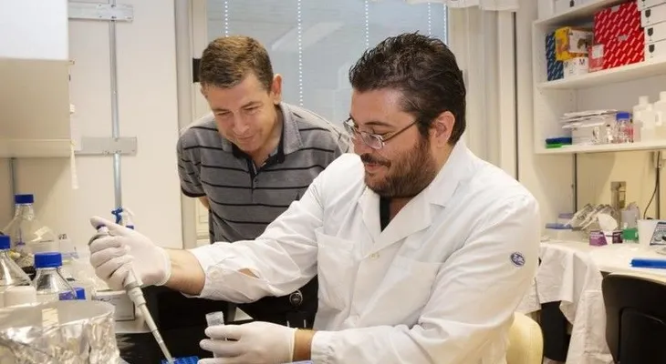 El alcoholismo no sería un problema: Identifican una proteína para curarlo 