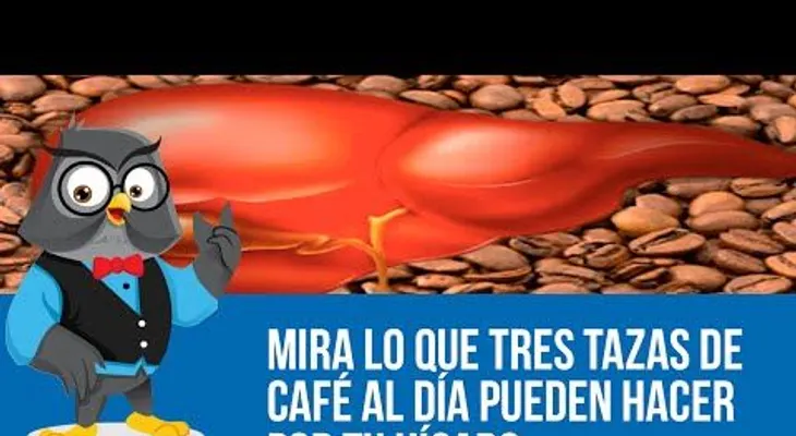 3 tazas del café al día, mira lo que pueden hacer por tu Hígado (VIDEO)