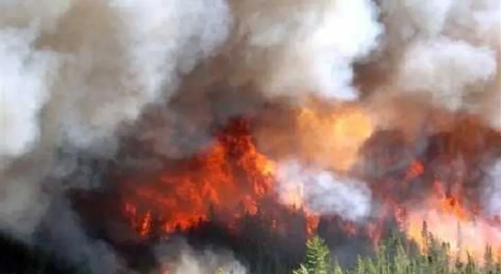 Incendio en Staten Island deja 34 personas lesionadas; dos están graves