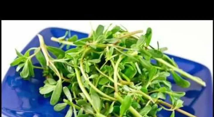 Remedios para las hemorroides 100% Natural (Video)
