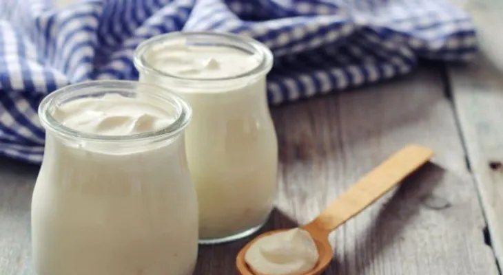 Yogurt estilo griego: El mejor amigo de tu flora intestinal