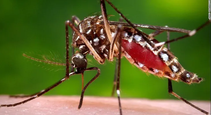 Brasil pide a mujeres no embarazarse debido a este peligroso virus