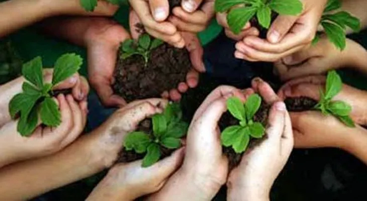 Diseñan propuesta programa de educación ambiental en escuelas públicas