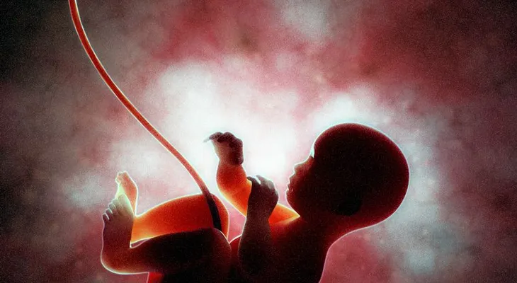 Sorprendente hallazgo: las células de los hijos viven en los cerebros de sus madres