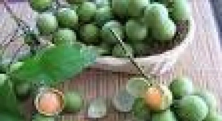 Niño de 2 años muere al tragarse semilla de limoncillo en Yamasá