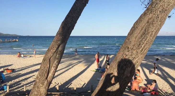 Las inquietantes vacaciones de un dibujante que tienen en vilo a España