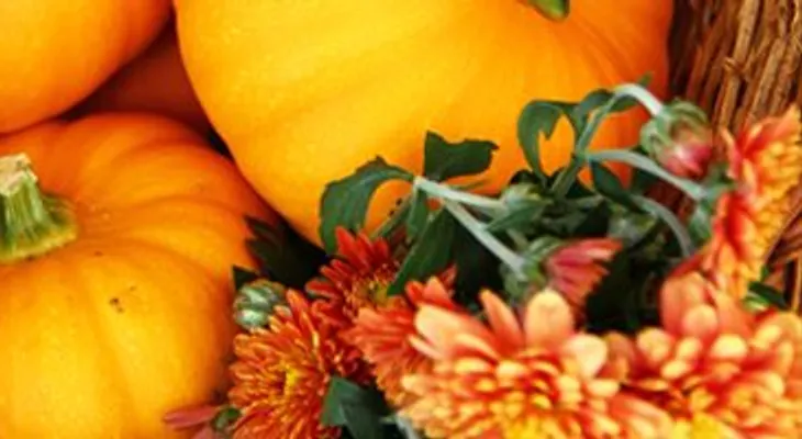 7 beneficios de las semillas de calabaza